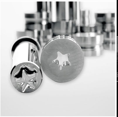 Coating Chrome Punches and Dies for Effervescent Tablet Press with Long Durability and B Tooling Tedarikçi
