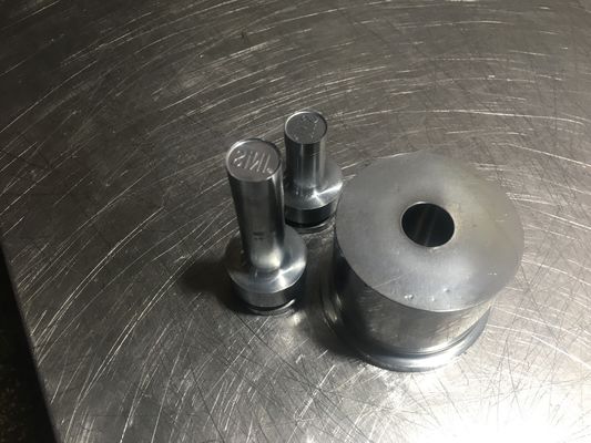 TIANHE Customized Multi-head mould/Punches & dies/Material S7 Hard Chrome Tedarikçi